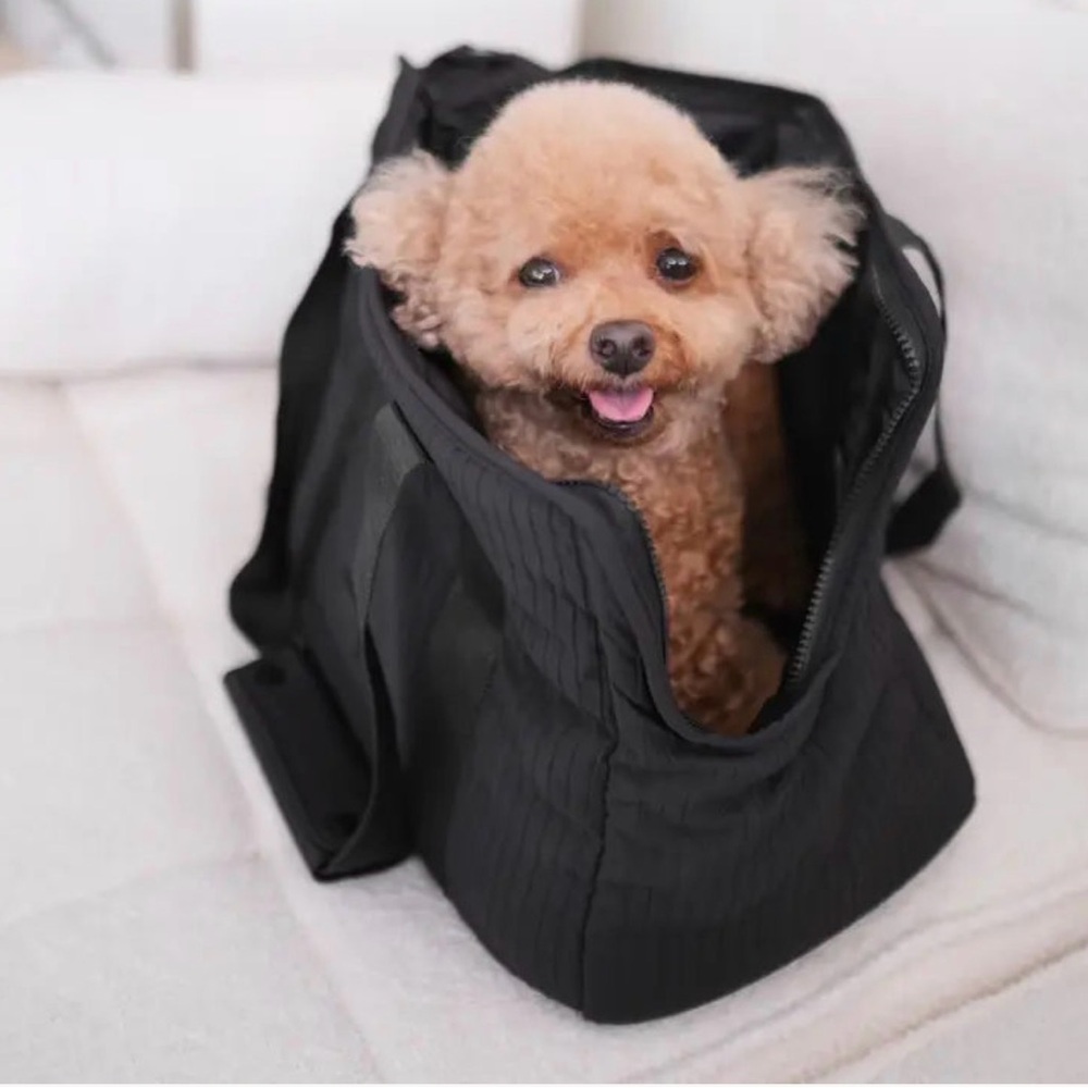 Black Pet Carrier Bag for Dogs